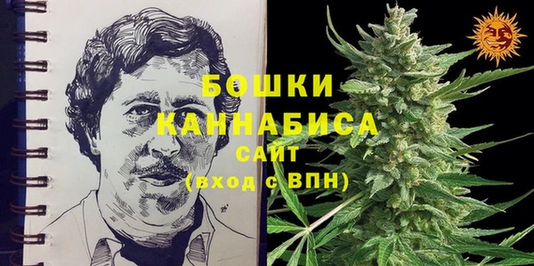 прущий лед Новозыбков