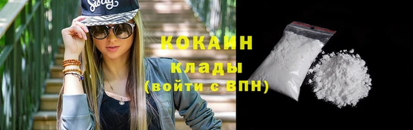 амф Няндома