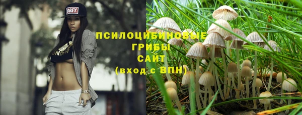 прущий лед Новозыбков