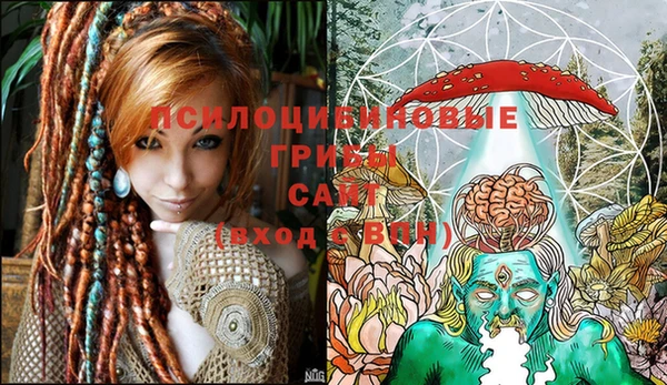 экстази Нязепетровск