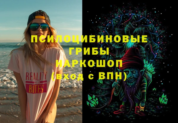 прущие грибы Новокубанск