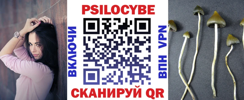 Псилоцибиновые грибы мицелий ссылка на мегу как войти Каменка