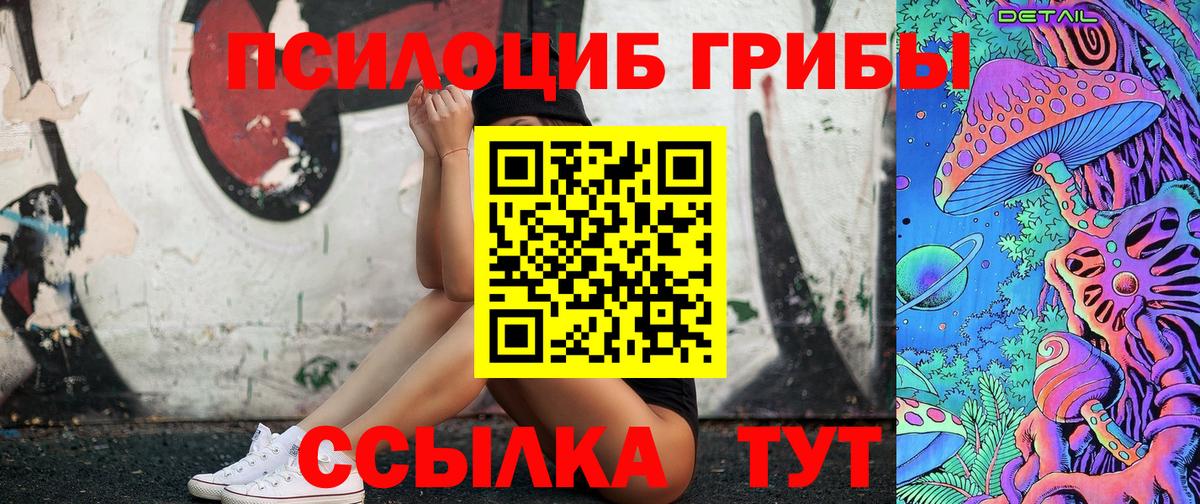 Каменка  Псилоцибиновые грибы GOLDEN TEACHER  Вход с VPN 