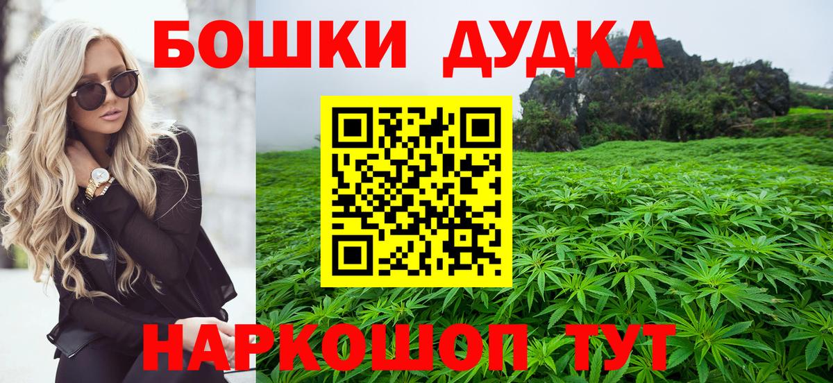 A PVP Каменка